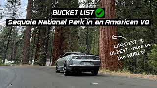 Camaro V8 Cabrio Drive Review + Meeting GIANT Trees @ Sequoia National Park | EvoMalaysia.com