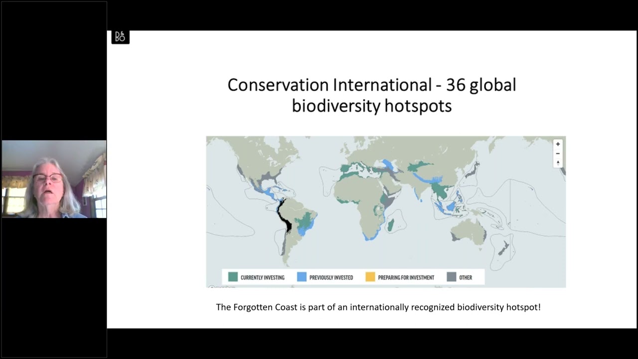 SciCafe: Biodiversity of the Forgotten Coast – From Chapman and Beyond