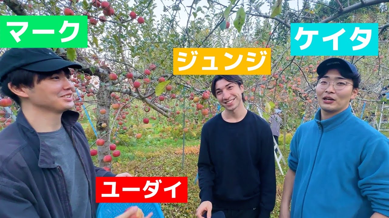 青森りんご体験のその後