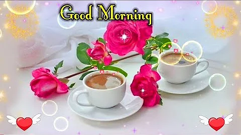 Good Morning video, 🌹Good Morning status, 🌹Good Morning shayari, 🌹Good Morning