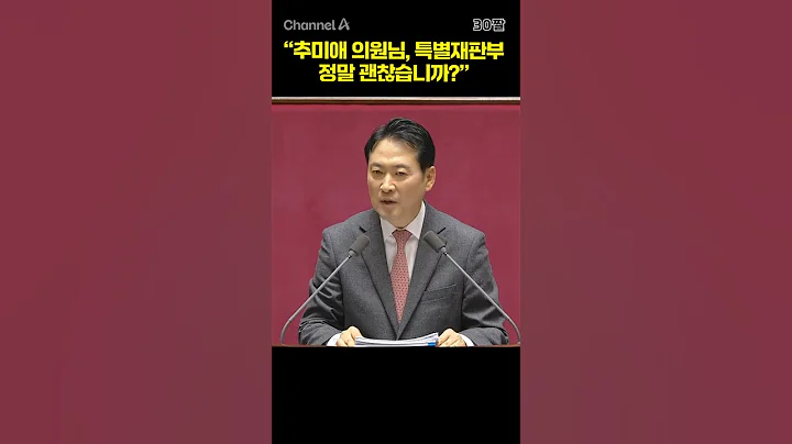 “추미애 의원님, 특별재판부 정말 괜찮습니까?” / #채널A #shorts #30짤