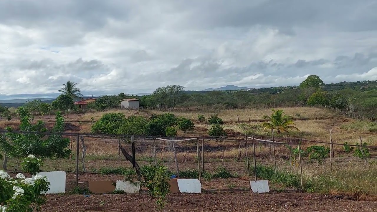 Já chegamos aqui na roça pessoal tudo bem graças a Deus 🙏🙏🙏