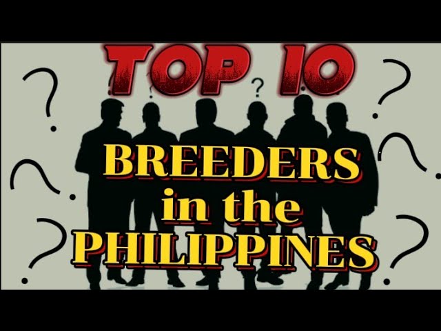 Top 10 gamefowl breeders in the Philippines with their signature line. class=