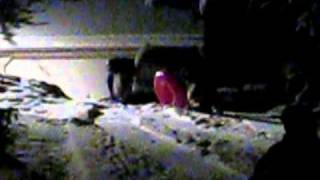 MVI_8107.AVI