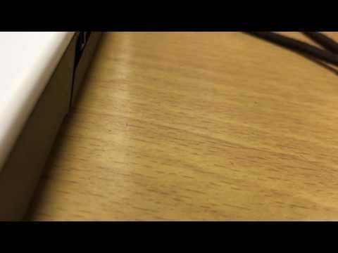 サイレン back number しょーばこ弾き語り