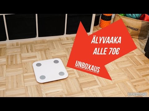 Video: Gadgetien Ottaminen Käyttöön Vistassa