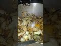 khichadi recipe #cooking #food #sorts #music #viralshort