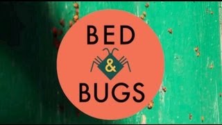 Obits Bed & Bugs [Album Trailer]