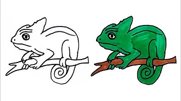 How To Draw Chameleon Easy Step By Step