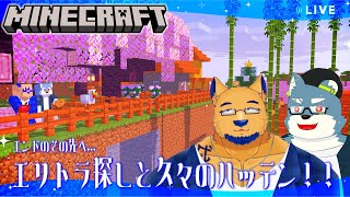 【Minecraft】トラップタワー制作…エリトラ…村ハッテン…長い夜になりそうだ…ネ♡【with 白瀬飾】