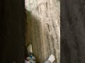 AYO