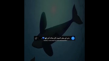الآية 87 من سورة الأنبياء / صوت هادئ