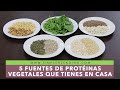 5 FUENTES DE PROTEÍNA VEGETAL | Cómo conseguir proteínas de origen vegetal fácilmente