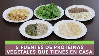 5 FUENTES DE PROTEÍNA VEGETAL | Cómo conseguir proteínas de origen vegetal fácilmente