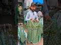 Azadi Dress 1 Se 12 Sal Girls | 1 Hazar Ke 3