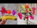 How i grow roses and confetti 2 in 1  grow roses at home