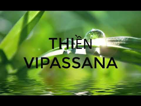 Video PHẦN 3 - 3 (THIỀN VIPASSANA CHO NGƯỜI MỚI BẮT ĐẦU) - youtube