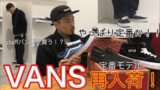 【VANS】【スニーカー】やっぱり定番モデル！再入荷しました！mischief channel Vol.60