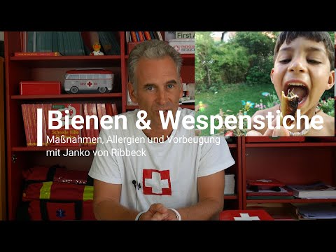 Video: Was Tun, Wenn Ein Kind Von Einer Wespe Gestochen Wird?