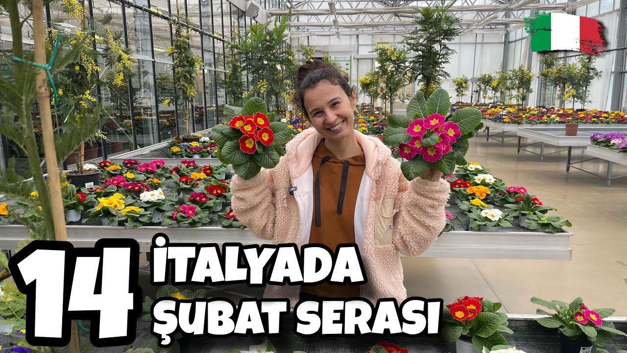 İtalyada Bitki ve Çiçek Seraları❗️14 Şubat Sevgiler Günü 🌷❤️