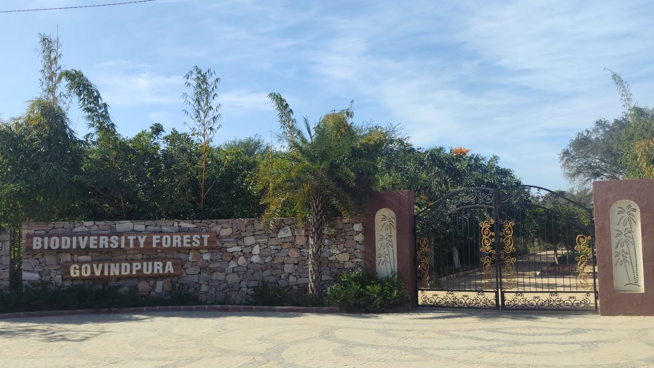 Biodiversity forest jaipur 😍 