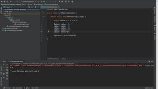 Intro to Java Programming - Additional Assignment Operators