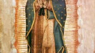 Santa Maria es la madre de Dios y madre nuestra también