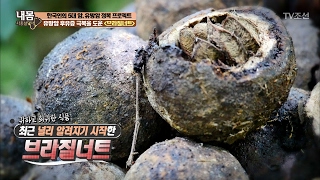 유방암 후유증 극복을 도와주는 ‘브라질너트’ [내 몸 사용설명서] 141회 20170210