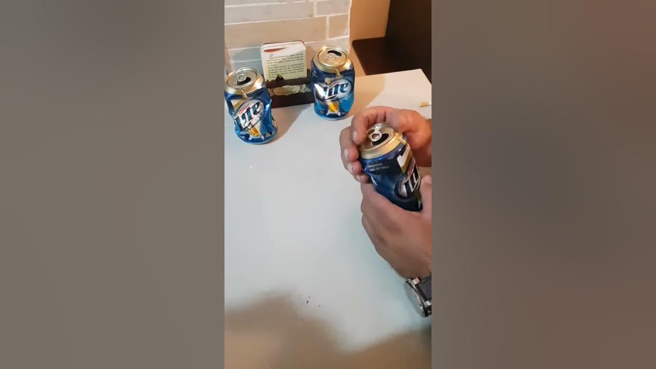 pequeña y fragil - tropical de bravo cuando amas a la cerveza pequeña y fragil - tropical de bravo cuando amas a la cerveza