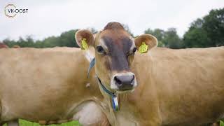 Vk-Oost-Lid Mark Ormel Scoort Laag Met Ammoniakemissie