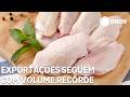 Exportações de carne de frango seguem com volume recorde