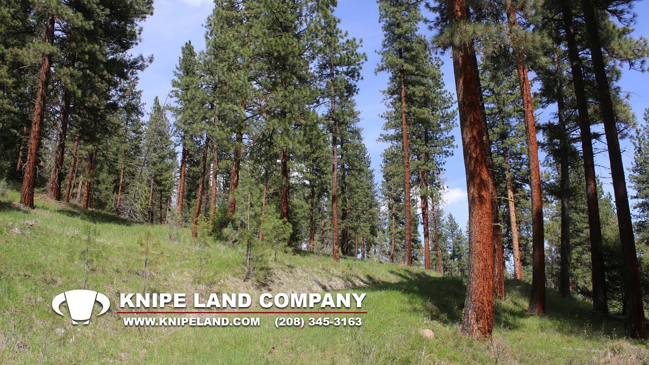 SOLD Prairie City Hunting Land Prairie City, Oregon YouTube