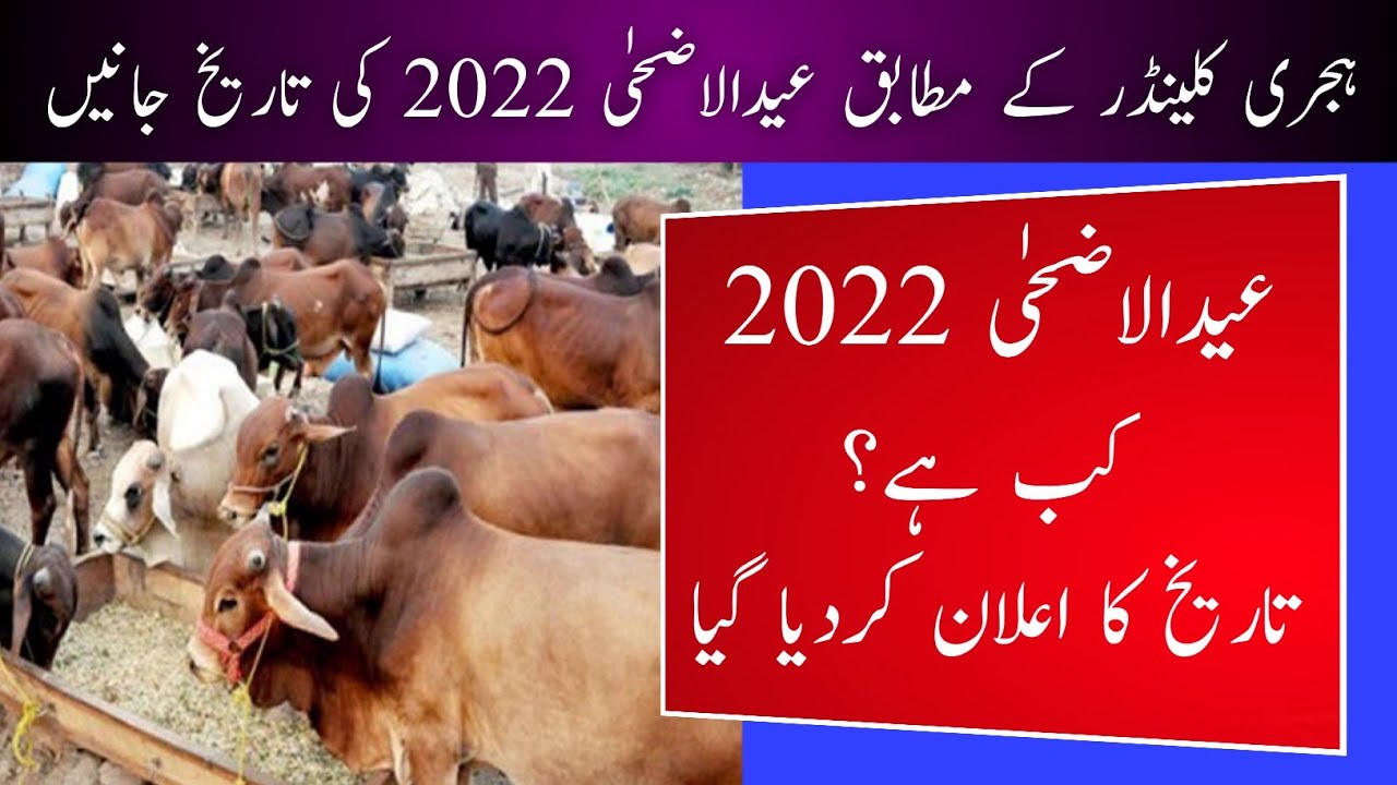 Eid Ul Adha 2022 L Eid Ul Adha L Eid Ul Azha 2022 L Islamic Date Today Eid Ul Adha 2022 L Eid Ul Adha L Eid Ul Azha 2022 L Islamic Date Today
