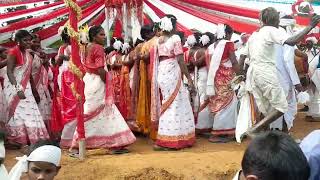 Karma Dance Shayang 2024