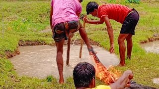video komedi viral di mana kamu