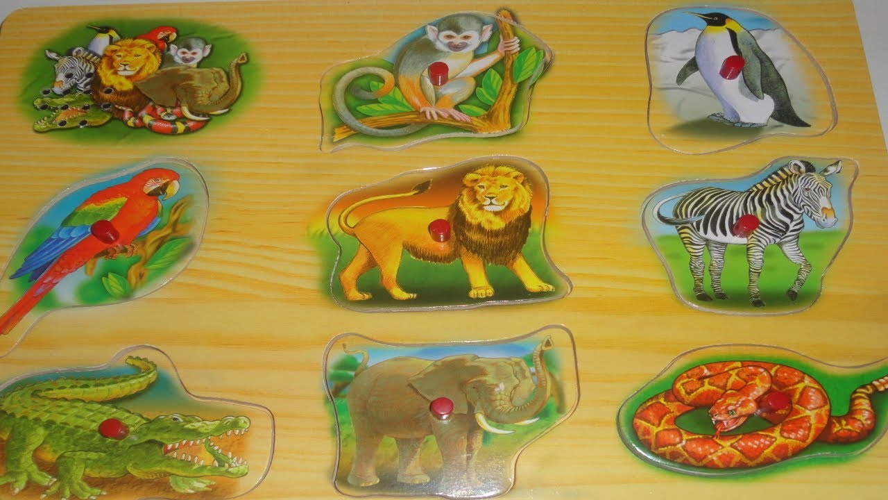 sound puzzle zoo animals