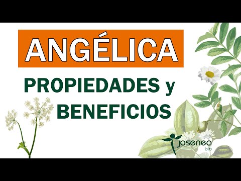 Video: Cultivo de la angélica: consejos para el cuidado de la angélica en el jardín de hierbas