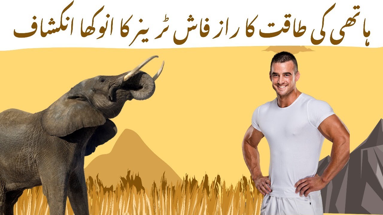 "The Elephant’s Secret: A Story Too Shocking to Believe"