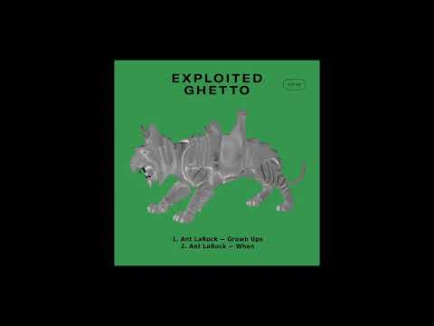 Ant LaRock - Grown Ups [Exploited]