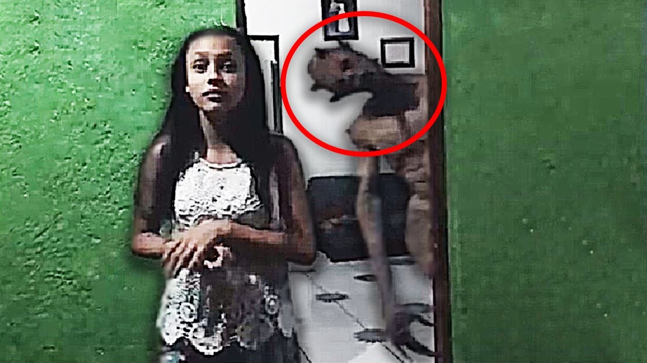 30 Scary Videos That are Bone-Chilling