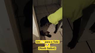 Um 🦴 para o Tobi 🐶 (Noob Saibot)
