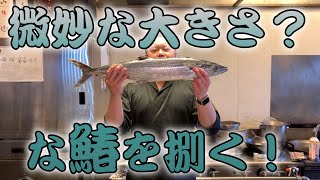 【捌く！】サゴシ？サワラ？微妙サイズの鰆を捌く！