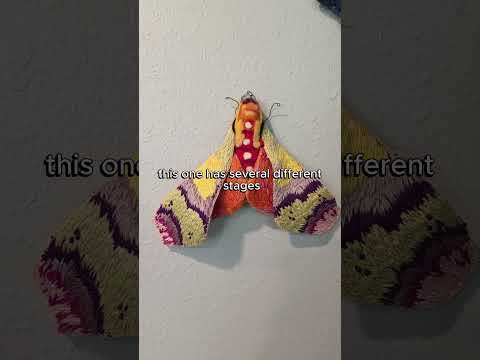Embroidery