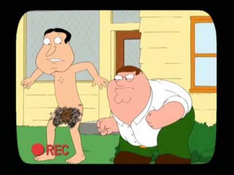Family Guy Jackass [Bee Bush]