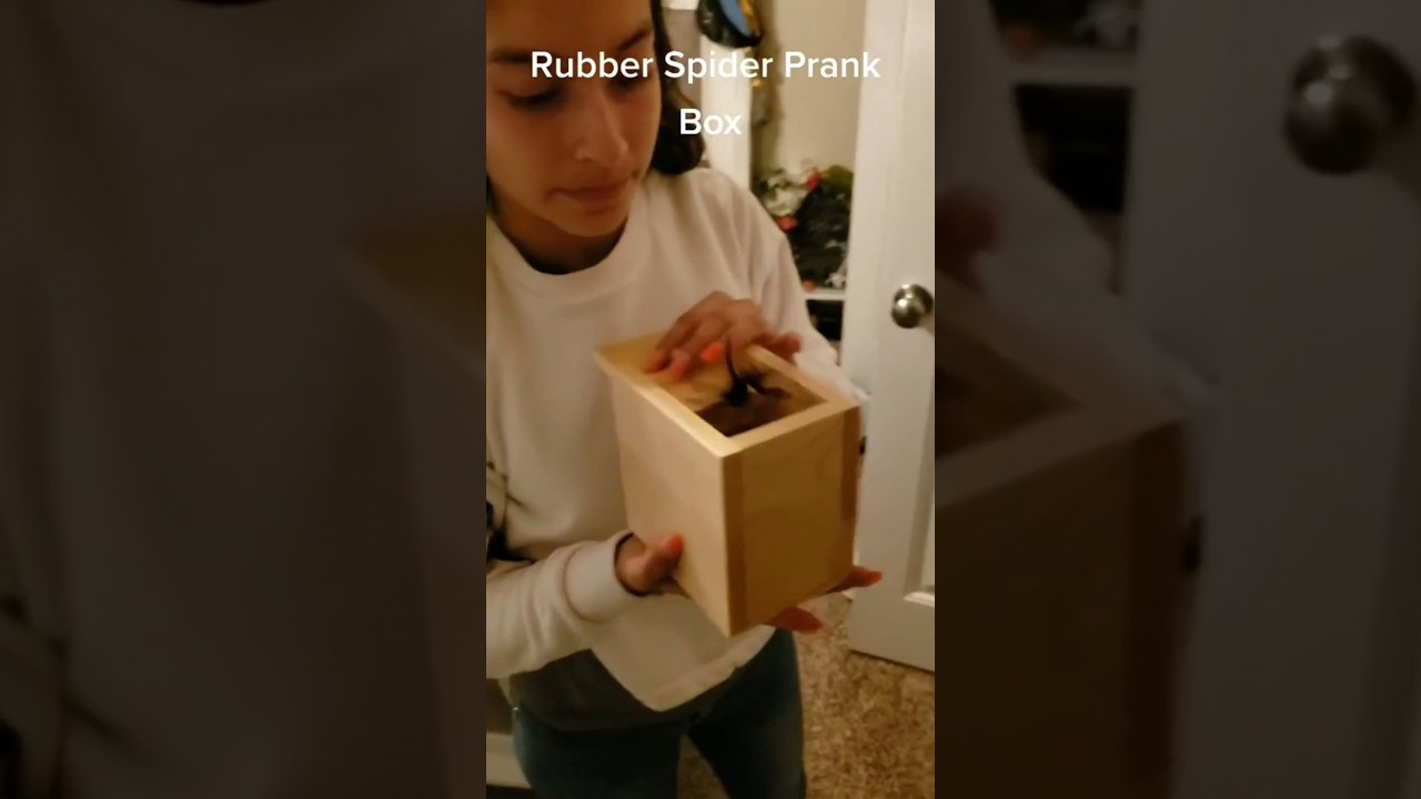 Spider Prank Gift Box 
