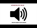 Annoying Fly Buzz Sound Effect