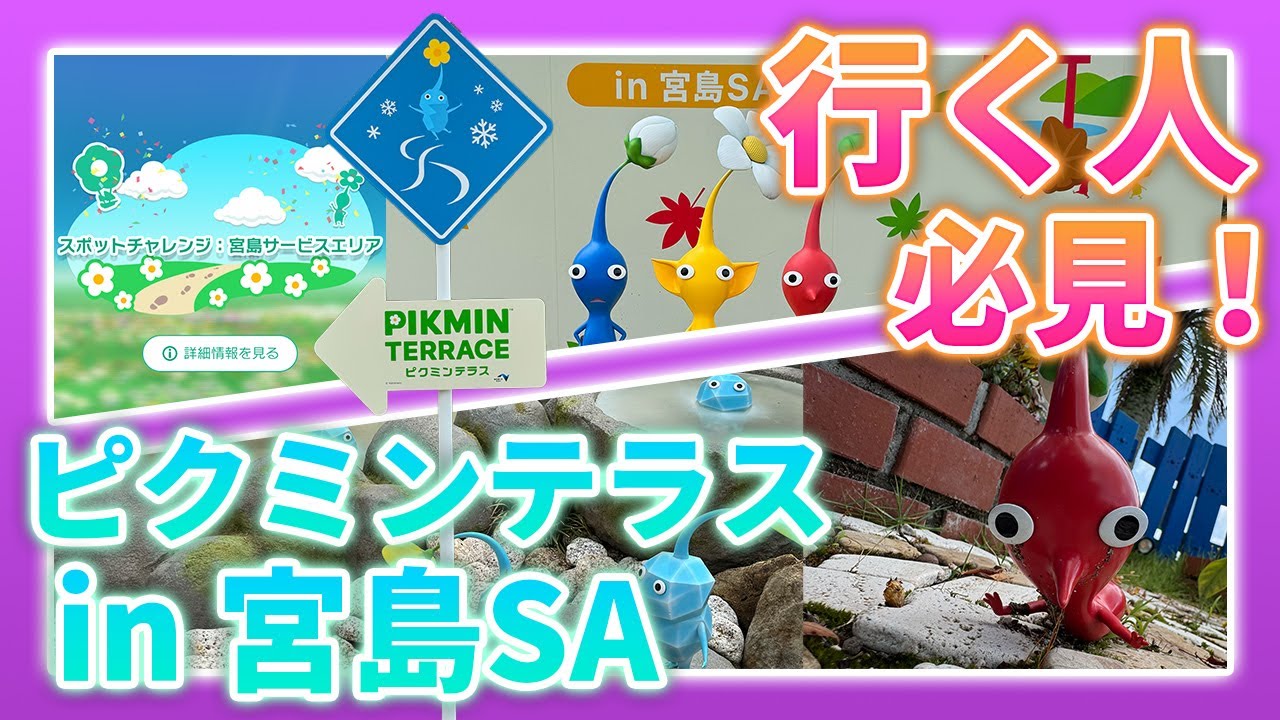 【完全ガイド】ピクミンテラスの行き方＆見どころ紹介🌱行く前に知っておきたいポイントまとめ！