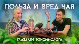 Польза и вред чая | Интервью