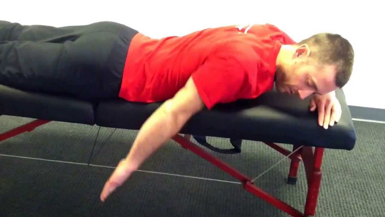 exercise 14.1 class 11 Underground Arm Raises