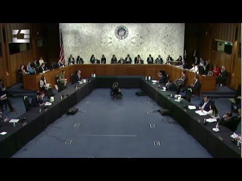 აშშ-ის სენატის მიმართვა ქართულ პოლიტიკურ პარტიებს - ვინ როგორ გაიგო სენატის რეზოლუცია